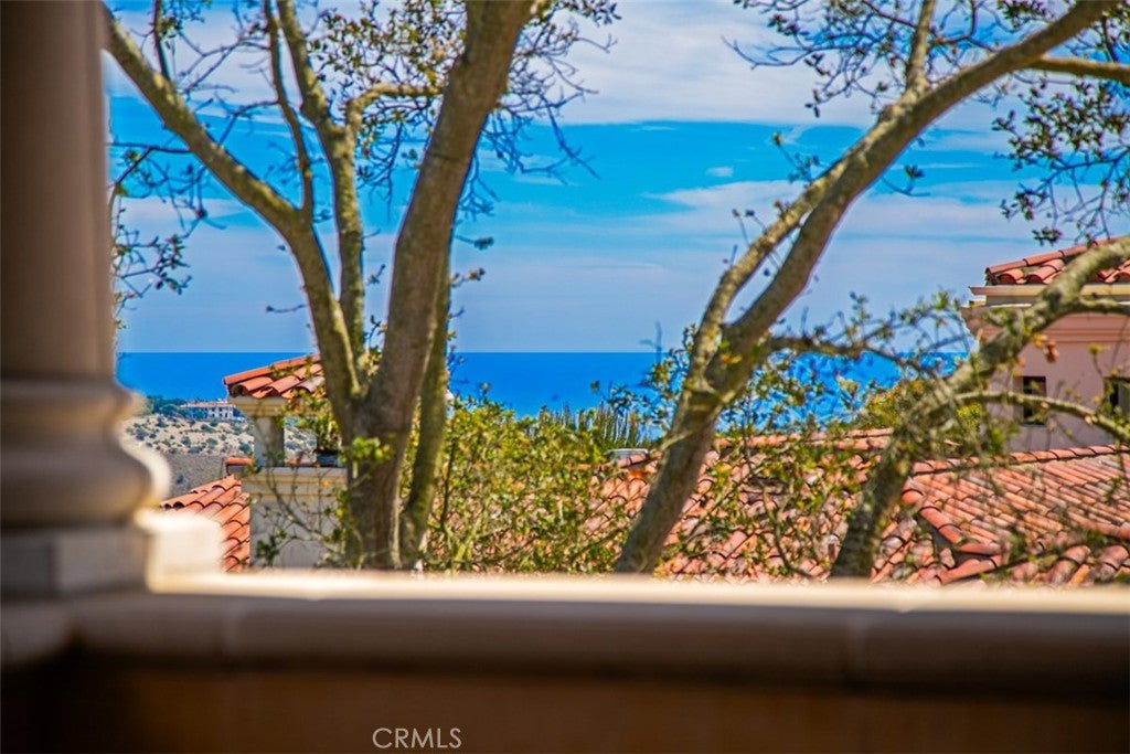 4 Clearview, Newport Coast CA 92657 - Photo 40