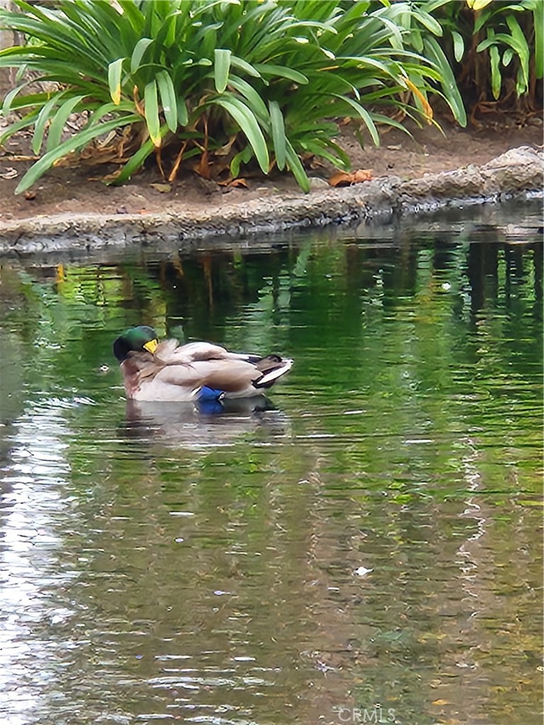 Harbour Vista (HARV) - Residential