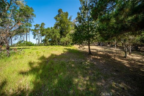 Tiny photo for 6475 Kathryn Drive, Cambria, CA 93428 (MLS # SC25105621)