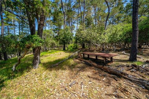 Tiny photo for 6475 Kathryn Drive, Cambria, CA 93428 (MLS # SC25105621)