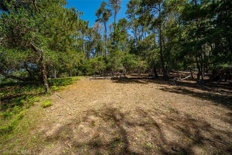 Tiny photo for 6475 Kathryn Drive, Cambria, CA 93428 (MLS # SC25105621)