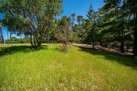 6475 Kathryn Drive Cambria CA 93428