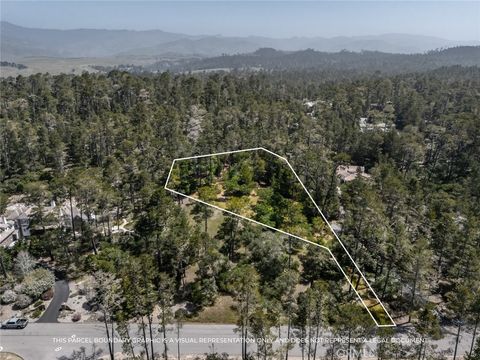 Tiny photo for 6475 Kathryn Drive, Cambria, CA 93428 (MLS # SC25105621)