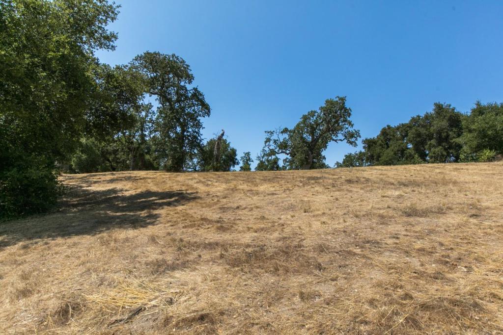 39 Arroyo Sequoia