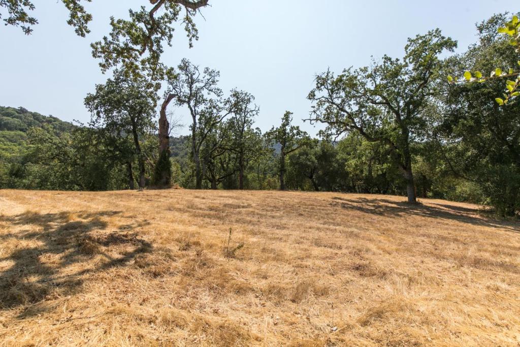 39 Arroyo Sequoia