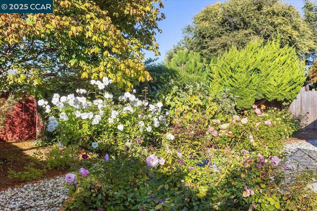 SAN LORENZO VILG - Residential