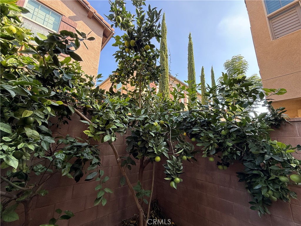 Colibri - Residential Lease