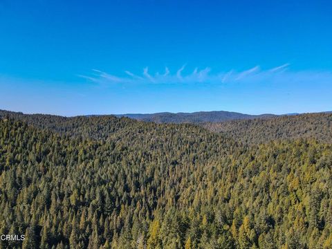 Photo of 0 Irmulco Road, Willits, CA 95490 (MLS # C1-10927)