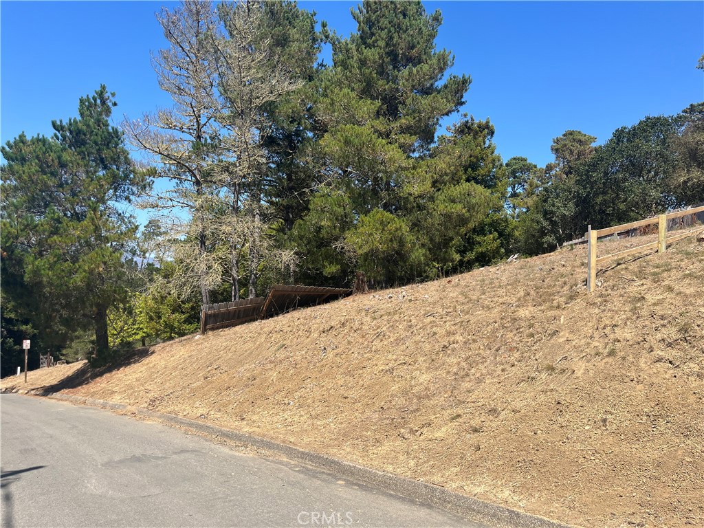 1456 Burton Drive
