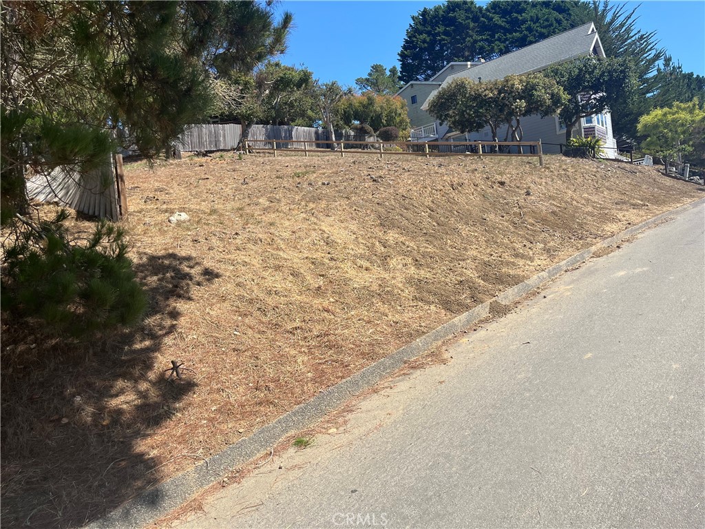1456 Burton Drive