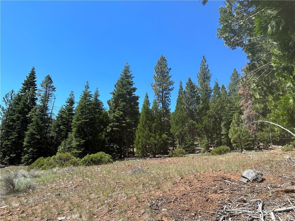 1 Canyon Creek Rd