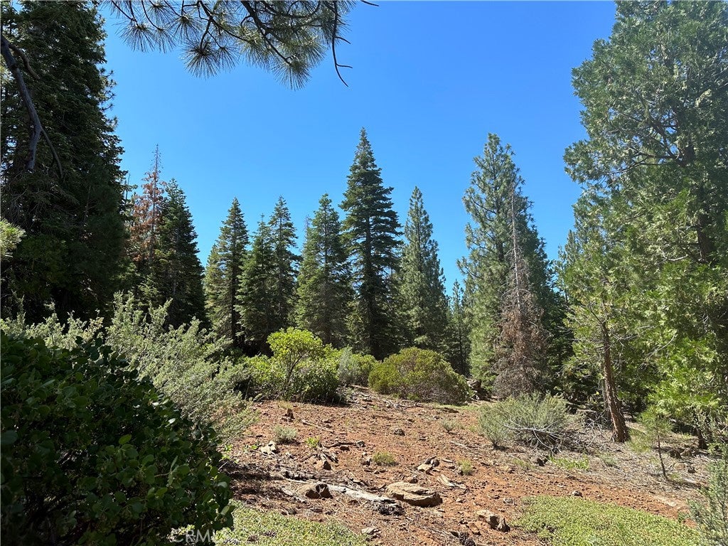 1 Canyon Creek Rd
