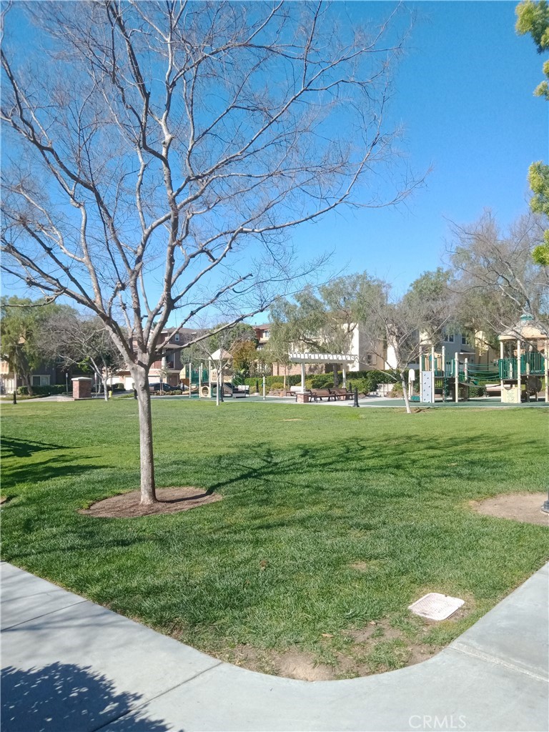 194 Blue Sky Drive