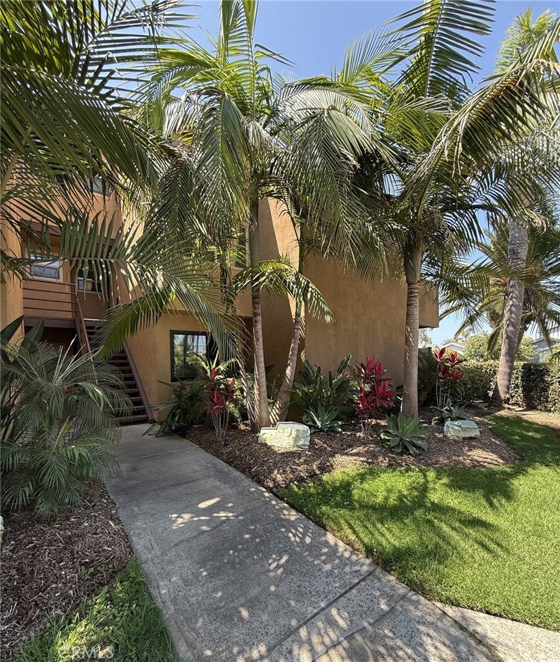 306 Coral Reef 50