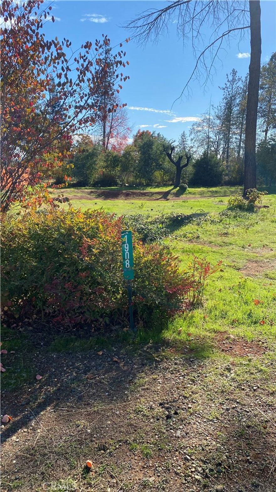 Located in a peaceful neighborhood in Paradise, this inviting .26-acre lot offers a wonderful opportunity to create the home you’ve always envisioned. Previously home to a 3 bedroom, 2 bathroom residence at 1,351 sq ft, the property is ready for its next chapter. With ample space for a comfortable home, outdoor living, and landscaping, you can truly design a place that fits your lifestyle. Plus, it has an active water account with PID. Enjoy the charm of small-town living while being just a short drive to local conveniences, parks, and scenic outdoor recreation. Whether you’re looking to build a personal retreat or an investment property, this parcel holds endless potential. Come explore the possibilities and start planning your dream home today!