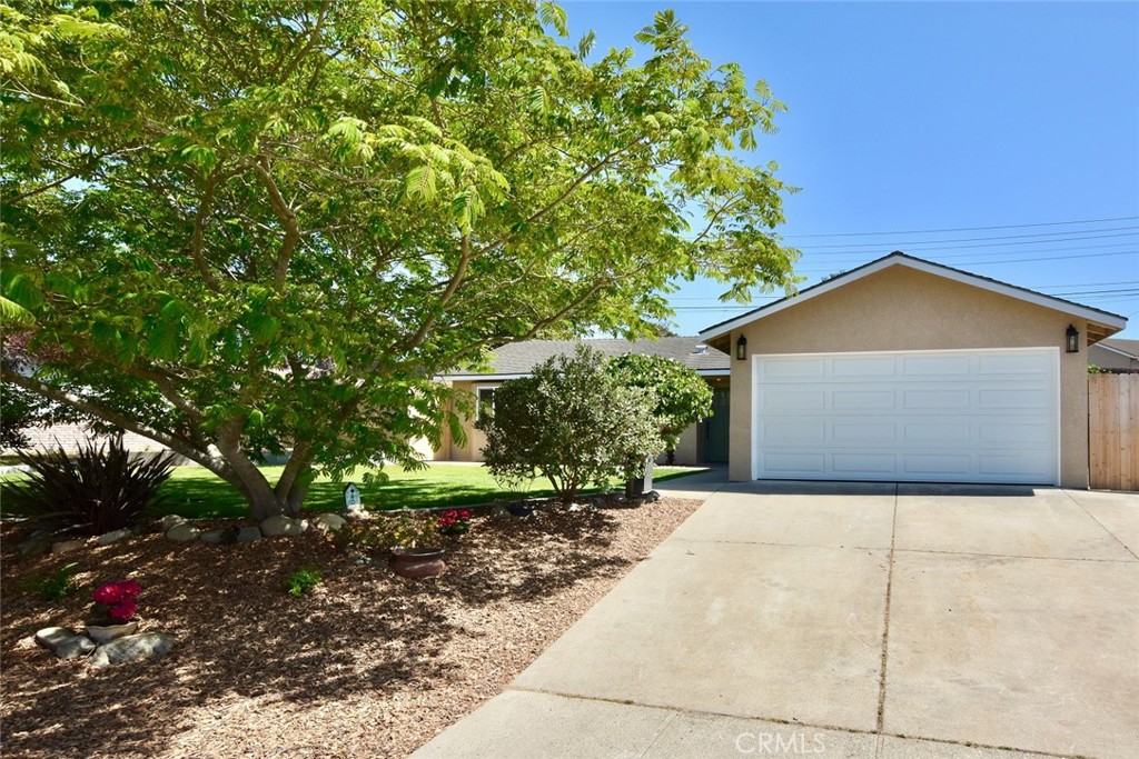 538 Primrose Lane