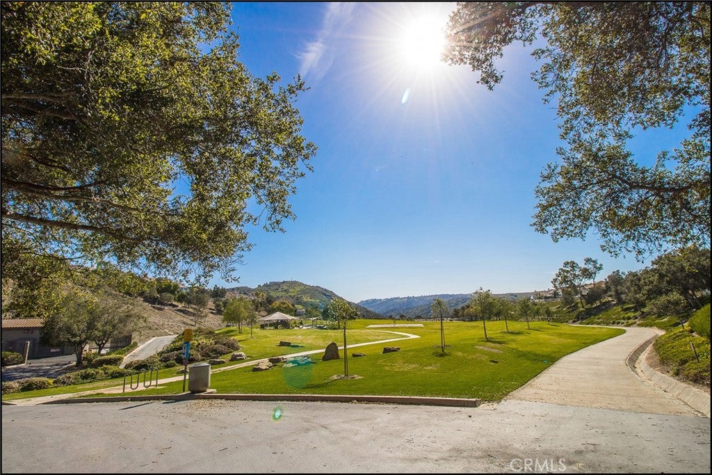 36 Baneberry, Aliso Viejo CA 92656 - Photo 30