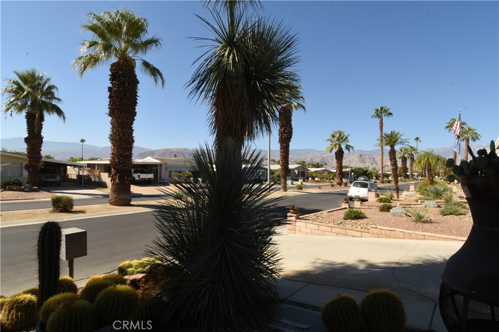 Palm Desert Greens (32254) - Residential Lease