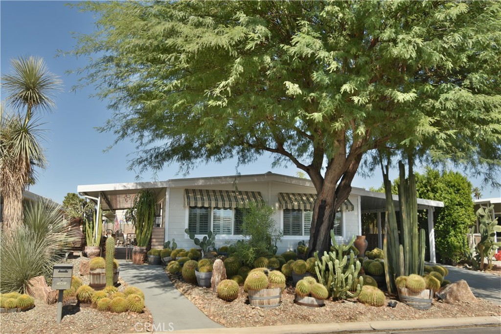Beautiful detached HOME available for 6-month lease in Palm Desert Greens Country Club, an active 55+ community. The lease allows you to take advantage of only paying for the BEST/PREMIUM months of weather that the Coachella Valley has to offer!
This fully furnished manufactured home has 1,440 SqFt, 2 bedrooms, & 2 bathrooms. Primary bedroom includes a TV & has a large walk-in closet. The living room and dining area, which is right off the kitchen, offer amazing views. Large family room / stocked library / TV room (includes new 66” Samsung Smart TV) has a slider that opens to the outdoor patio area, which includes a Traeger BBQ/Smoker. Inside laundry closet includes a washer and dryer. Recent upgrades include new high-end Luxury Vinyl Plank (LVP) flooring throughout, complete interior and exterior paint, new stainless steel appliances (including a 4-door refrigerator, dishwasher, microwave vented hood, sink/faucet/garbage disposal, and a newer convection range), new light fixtures, switches, outlets, and door handles. The home also features a newer air conditioning and heating unit with a programmable Wi-Fi/app thermostat, a newer white reflective roof, dual-pane windows and wood plantation shutters throughout. You'll enjoy gorgeous views of the Santa Rosa and San Jacinto Mountains from the dining area, living room, and side patio, offering amazing sunsets and snow-capped mountain views in winter.
The active community offers incredible amenities, including an 18-hole Executive Golf Course (for a fee), a Golf Pro Shop, 3 pools, 4 spas, 2 saunas (his/hers), tennis, pickleball, bocce ball, gym, billiards room, shuffleboard, and a library. Country club restaurant & bar offers great food and specials (Prime Rib, Taco Tuesday, Appetizer Night), entertainment (Karaoke & Bingo), and social events. Also included: 24-hour gated security with patrol, garden service, high-speed internet/WiFi, cable TV, & trash pickup. 4-Car tandem parking. Underground utilities.
Breathtaking classic desert landscape with magical Golden Barrel cactus garden & a large mature Mesquite tree that provides beauty & desired shade.
This property is in a great location, steps away from the country club. Only a short 5-minute drive to Bristol Farms, Albertsons, & numerous restaurants. Only 10-minute drive to the famous El Paseo shopping district in Palm Desert & a 22-minute drive to Palm Springs International Airport.
What a great place to live! Available for immediate enjoyment!