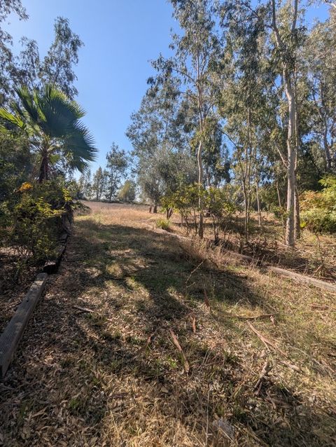Photo of 0 County Road 48, Willows, CA 95988 (MLS # SN25246098) Photo of 0 County Road 48, Willows, CA 95988 (MLS # SN25246098)