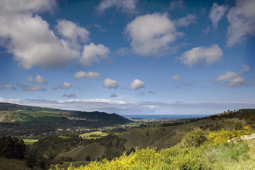42 Tehama (Lot 23)