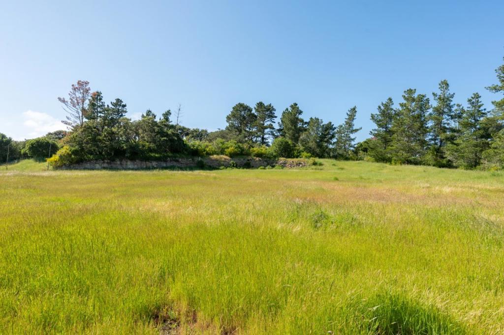 42 Tehama (Lot 23)