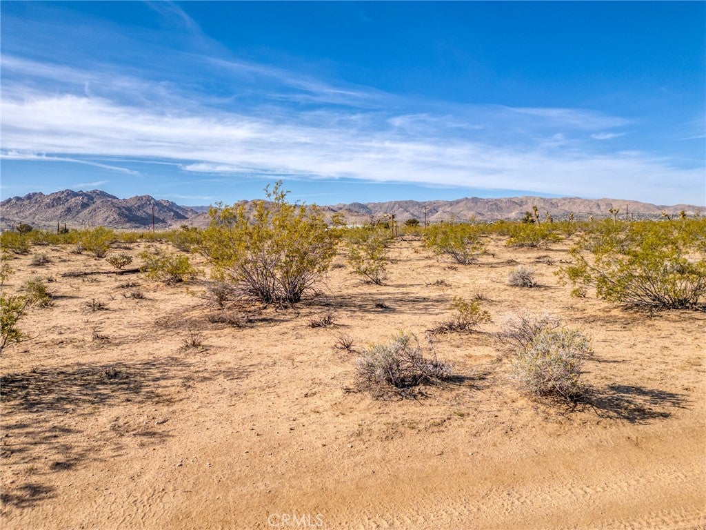62725 2 Mile Road