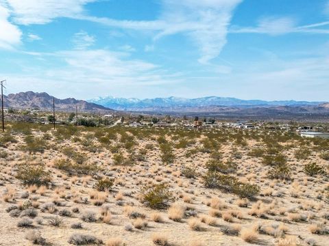 Photo of 0 Copper Mountain Rd Road, Joshua Tree, CA 92252 (MLS # JT26065709)