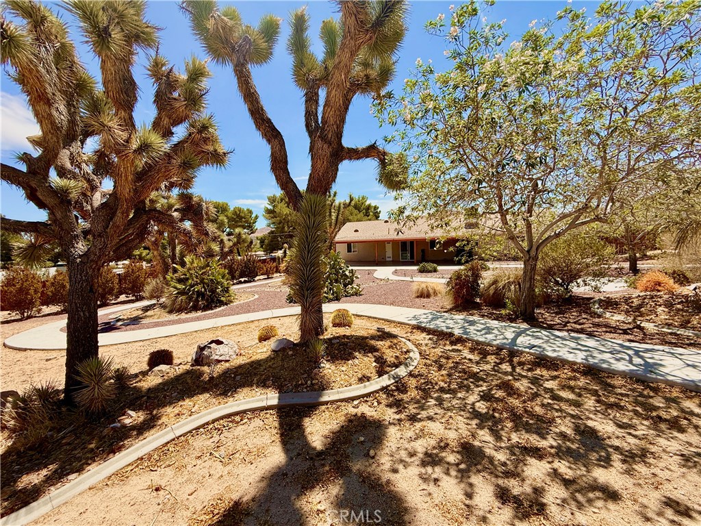 Recently updated private home on a half acre of land, fenced and private, with walkways and mature landscaping including majestic joshua trees. Serene setting for star gazing, and well located in Yucca Valley, within golf cart driving distance to Hawk's Landing Country Club. Five minutes to grocery shopping and restaurants of downtown Yucca Valley. Fifteen minutes to Joshua Tree National Park, and twenty+ minutes to all that Palm Springs has to offer. Freshly painted and new carpet with three bedrooms on one side, and a bonus room/office/4th bedroom (no closet so would need an armoire) on the other. Chef's kitchen has new stove/oven and range hood, and great views from the kitchen sink of the back yard. Large covered patio looking out to the back yard. Dining area, living room and master bedroom have wood palm front ceilings fans, and there are ceiling fans in the other two bedrooms and bonus room. Used red brick gas fireplace in the living room. Separate laundry room with washer and dryer included. Finished two-car garage with new garage door operator and re-programmed garage access panel. Beautifully landscaped yard has an automatic sprinkler system. Separate fenced dog run. Will consider lease for $2,750/month