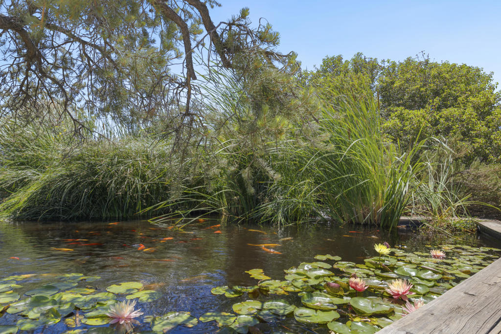 Pinyon Crest - Residential