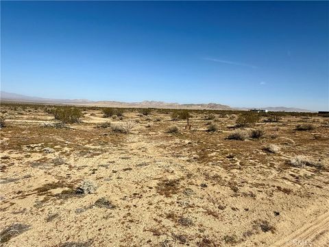 Photo of 14 Datura Terrace, Johnson Valley, CA 92285 (MLS # JT26083790)