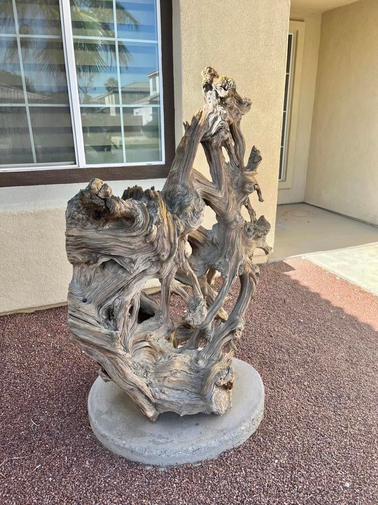 82602 Tivoli Court