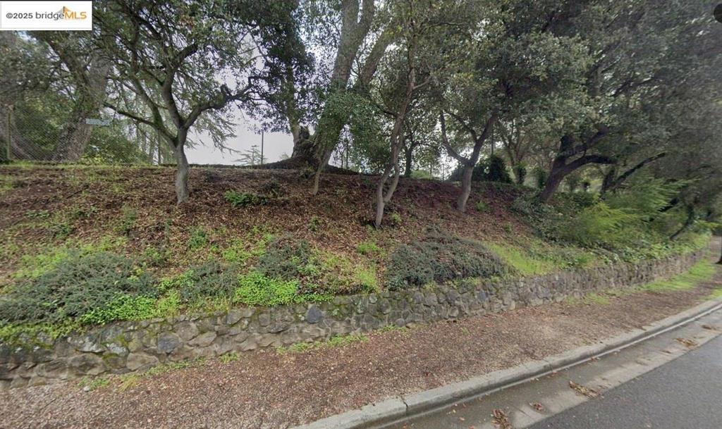 0 Bullard DR