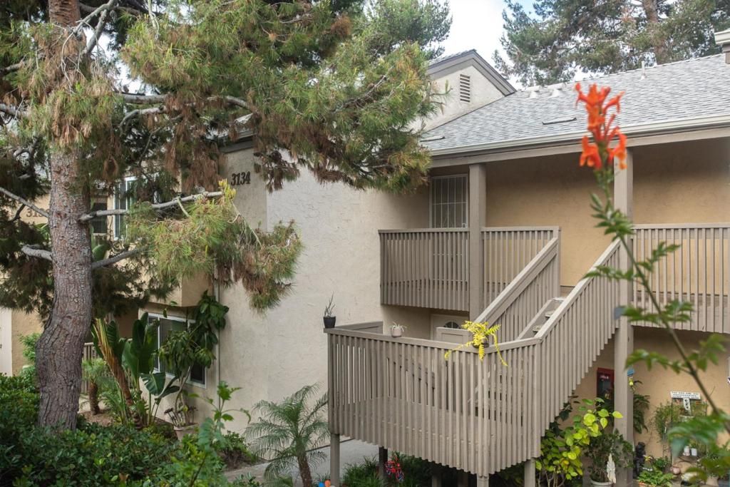 listing image 130724052544674349350
