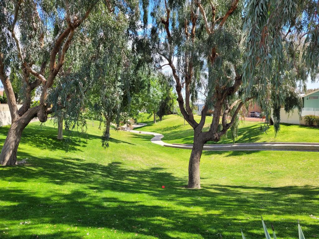 Vista Montana - Manufactured In Park