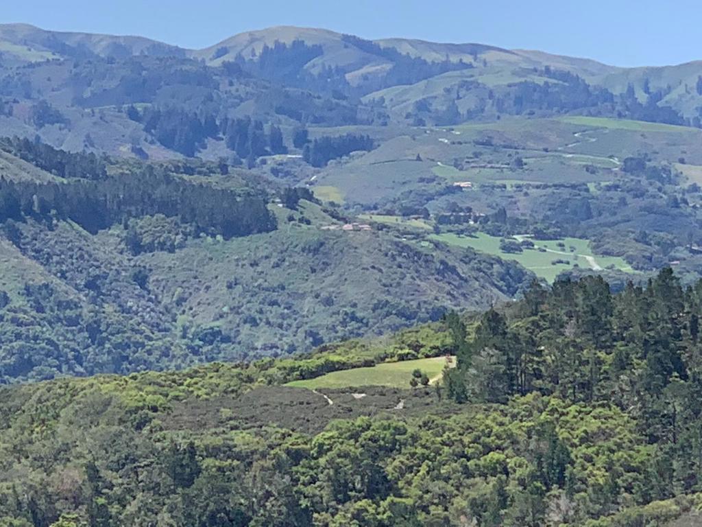 64 Marguerite (Tehama)