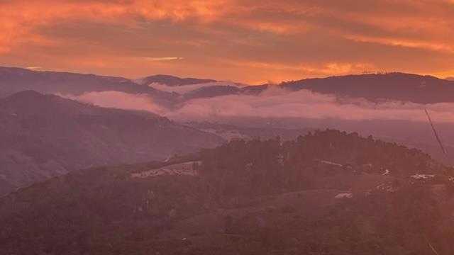 64 Marguerite (Tehama)