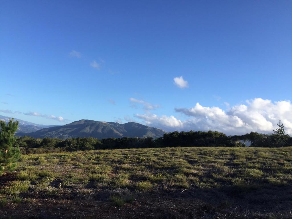 64 Marguerite (Tehama)