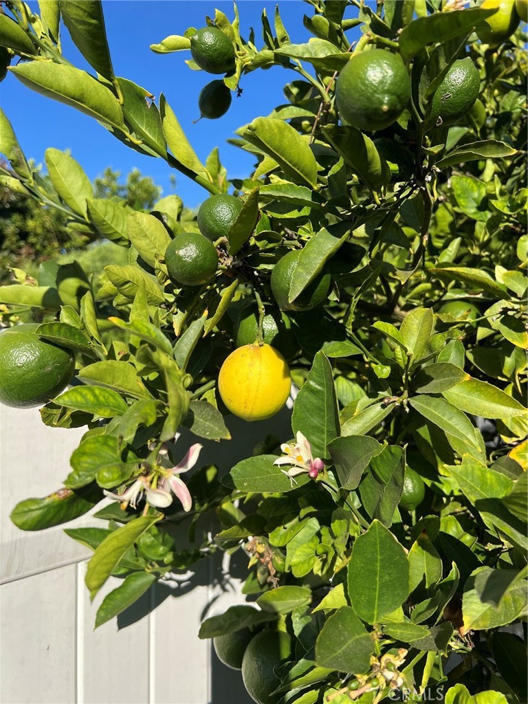 Lemonwood MHP - Manufactured In Park