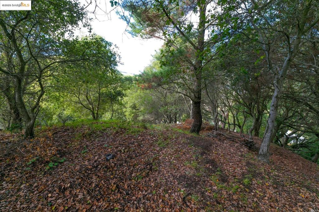 Take advantage of an incredible opportunity to create your custom dream home in the Orinda Hills! Located in a serene and private setting, lots 50 & 51 per County plot map are being sold together. As part of the development process, the buyer will need to participate in the cooperative installation of the roadway and all necessary utilities. For building requirements and regulations, please contact the City of Orinda directly. GPS coordinates: 37.872495, -122.185129.