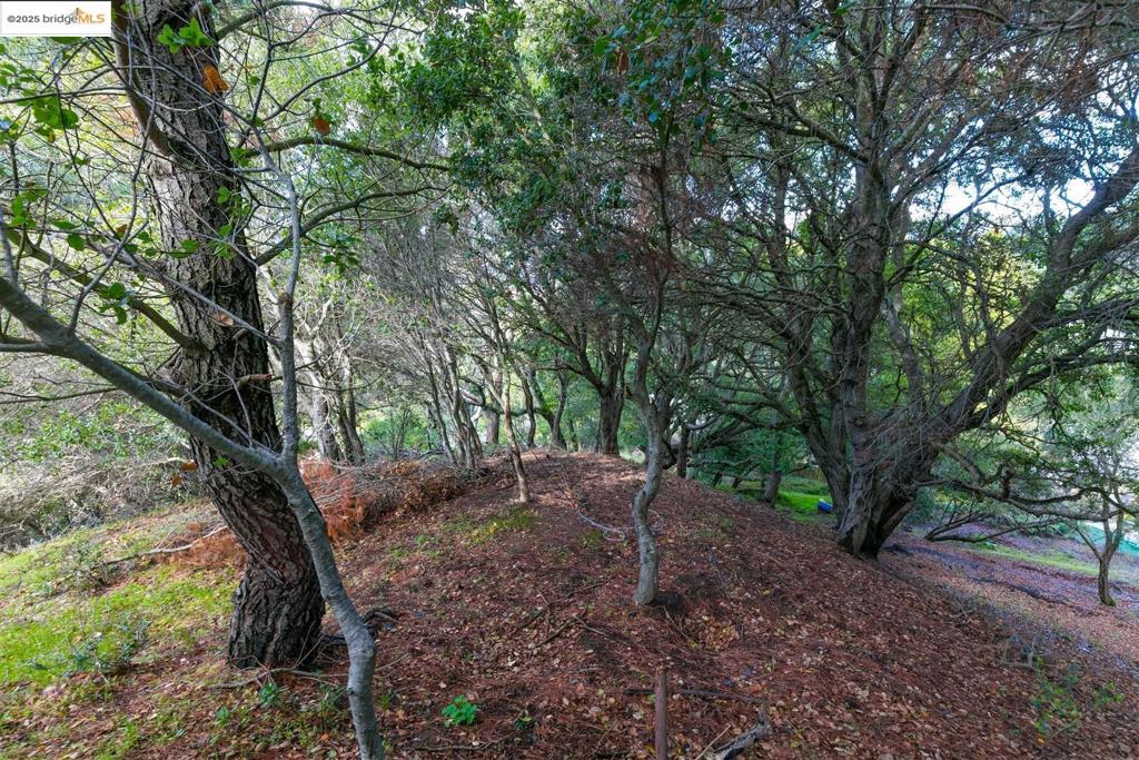 Properties 1 26 Lucille Way