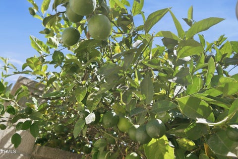 Tiny photo for 3405 Loma Vista Road, Ventura, CA 93003 (MLS # V1-38522)