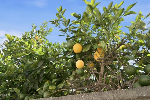 Tiny photo for 3405 Loma Vista Road, Ventura, CA 93003 (MLS # V1-38522)