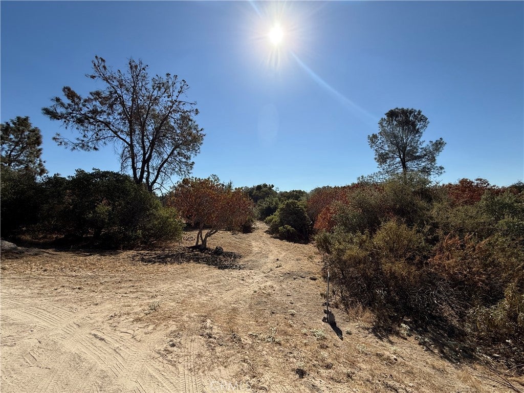 0 39.77 AC Flying O Ranch Rd.