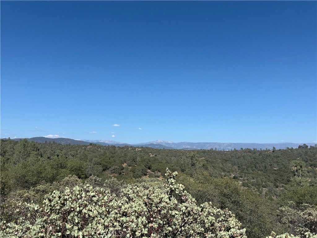 0 39.77 AC Flying O Ranch Rd.