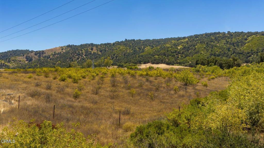 12400 Ojai Santa Paula Road