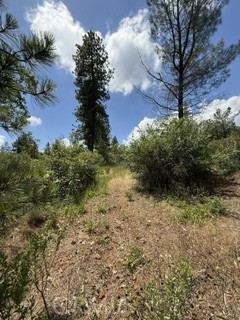 0 Feather Ridge