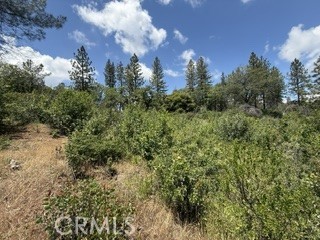 0 Feather Ridge