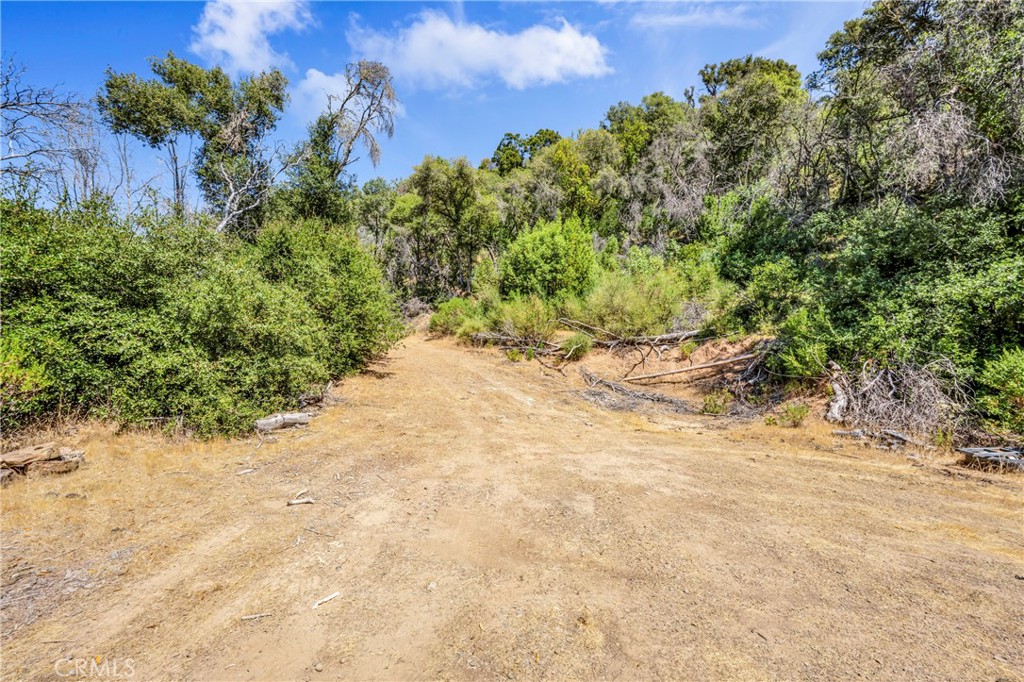 6696 State Hwy 20