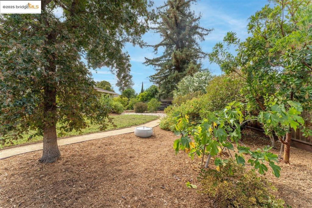 MISSION SAN JOSE - Residential